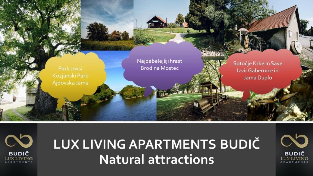 Lux Living Apartments Budic Near Terme Catez Brežice 외부 사진